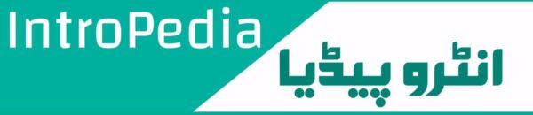 intropedia.hamariaawaz.com